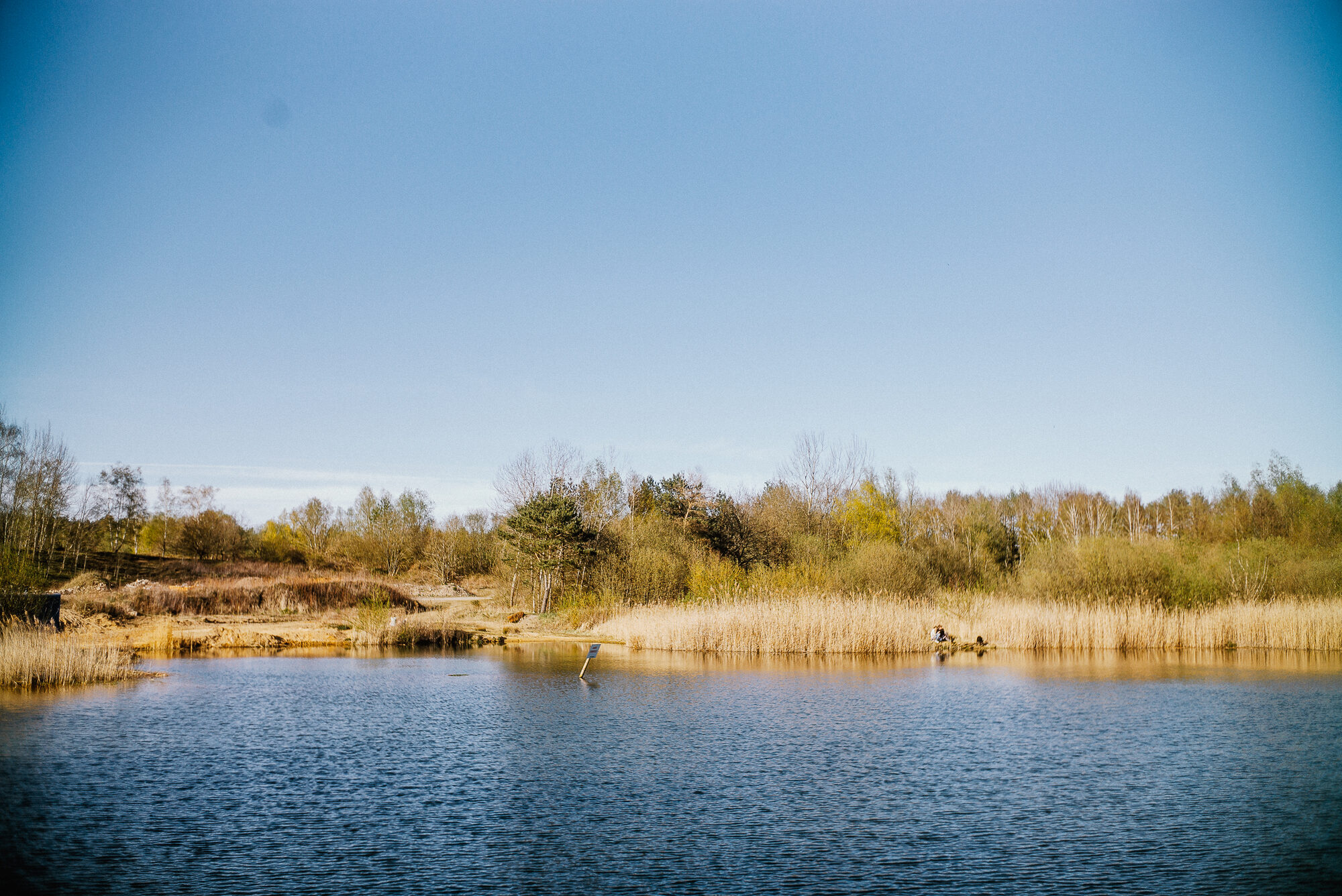 Ruhiger Baggersee bei Todtglüsingen mit Bäumen am Ufer