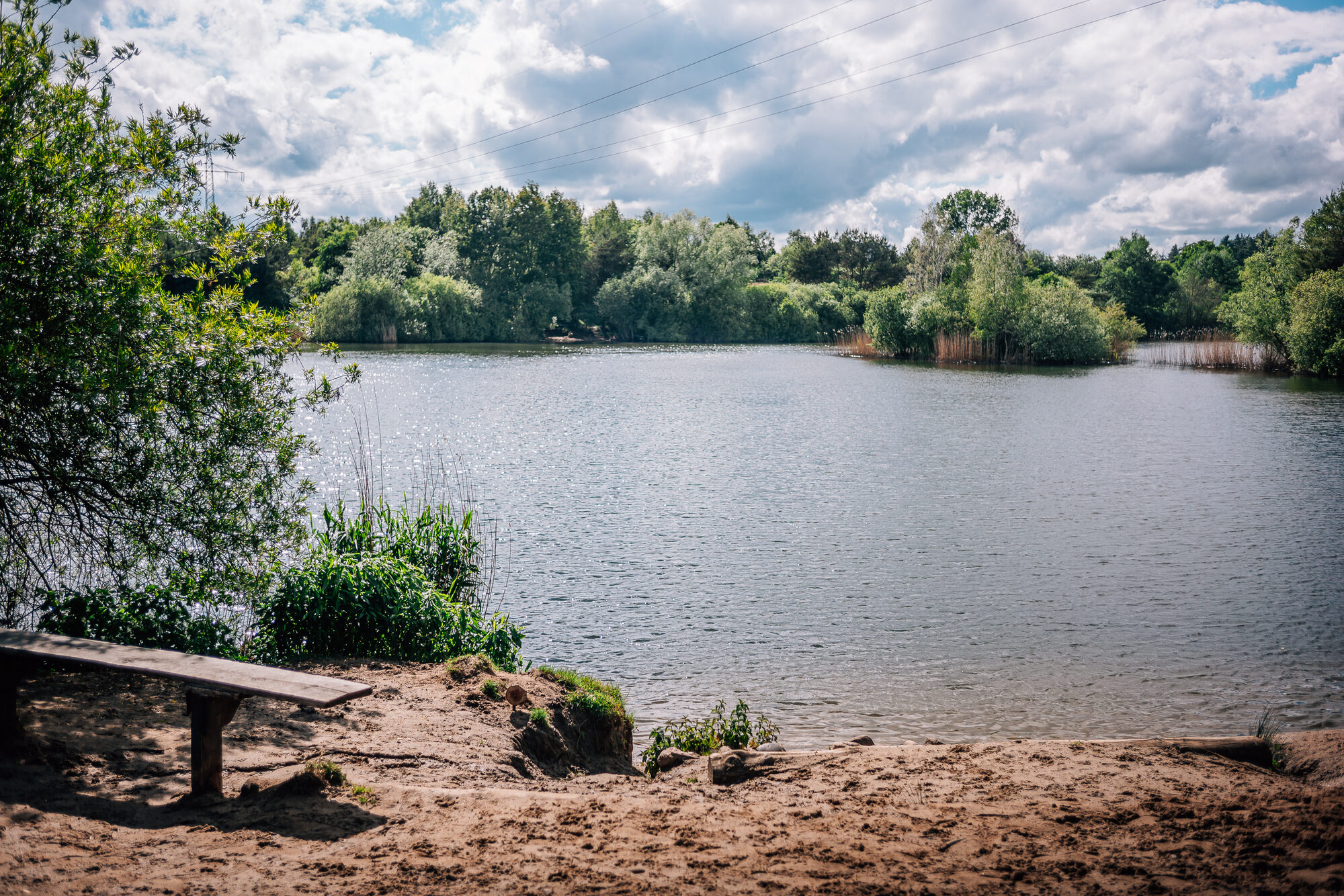 Herbstlaub am Ufer des Baggersees