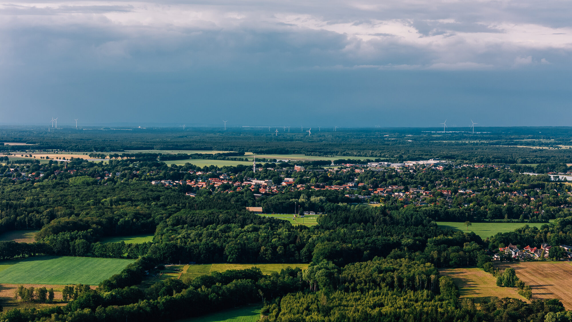 Wurzeln und Pfad am Bosteler Berg