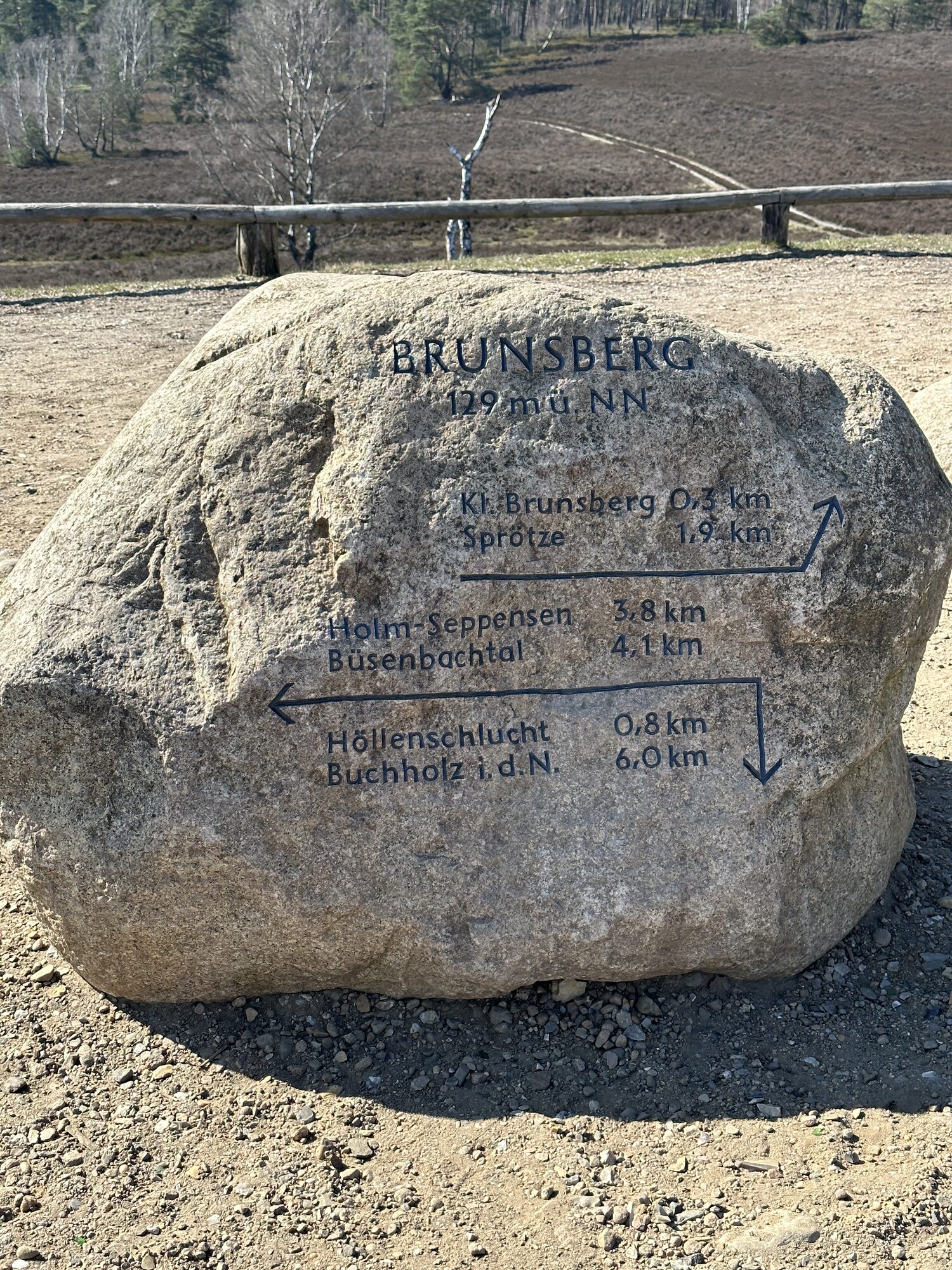 Aussicht vom Brunsberg über die Heidelandschaft bei Handeloh