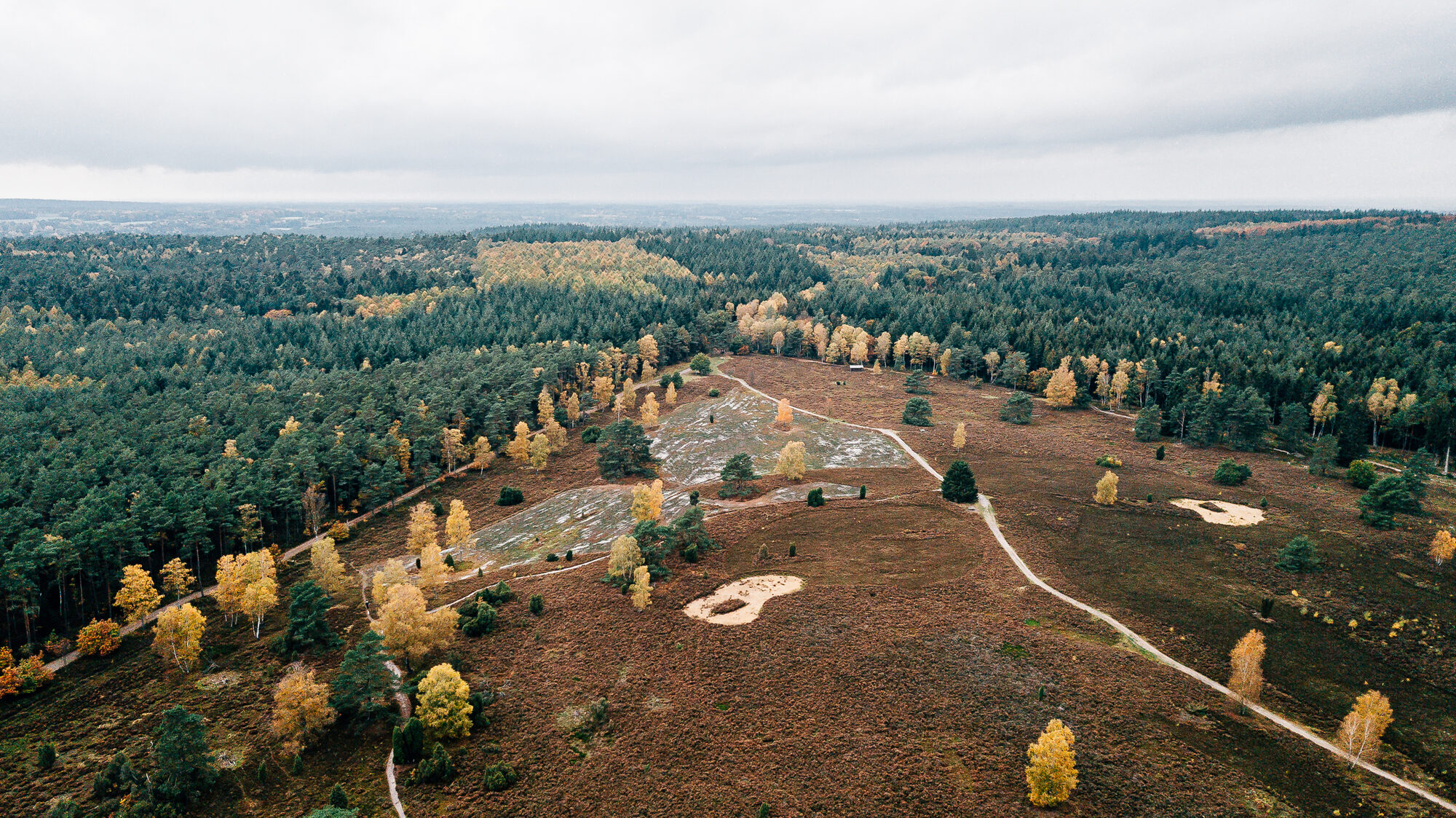 Das Büsenbachtal in der Nordheide bei Handeloh