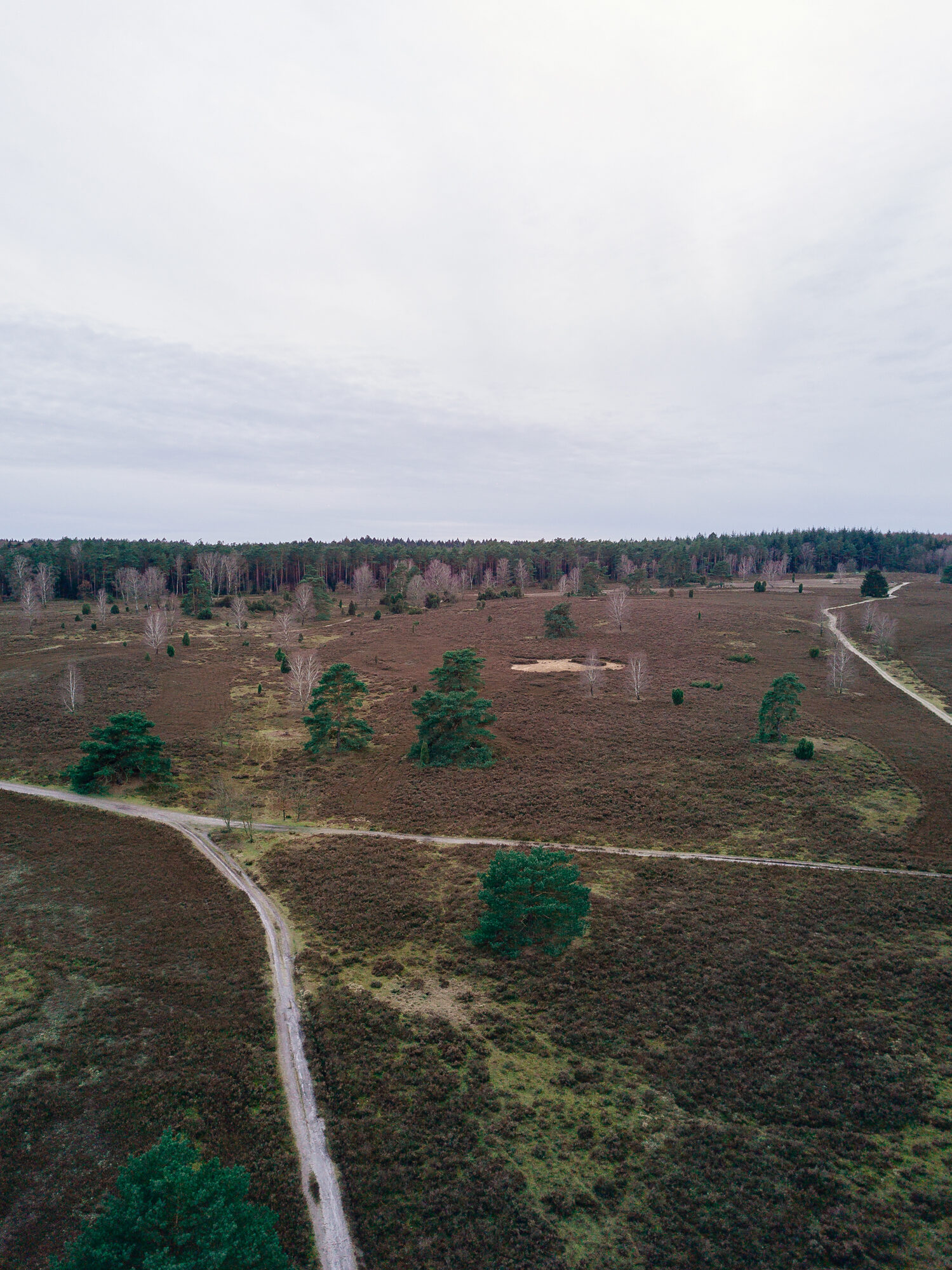 Wege und Heide im Büsenbachtal