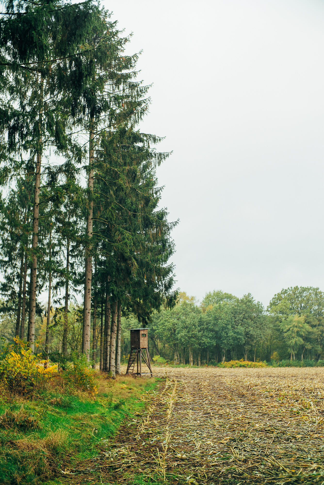 Großer Findling im Findlingspark Todtglüsingen