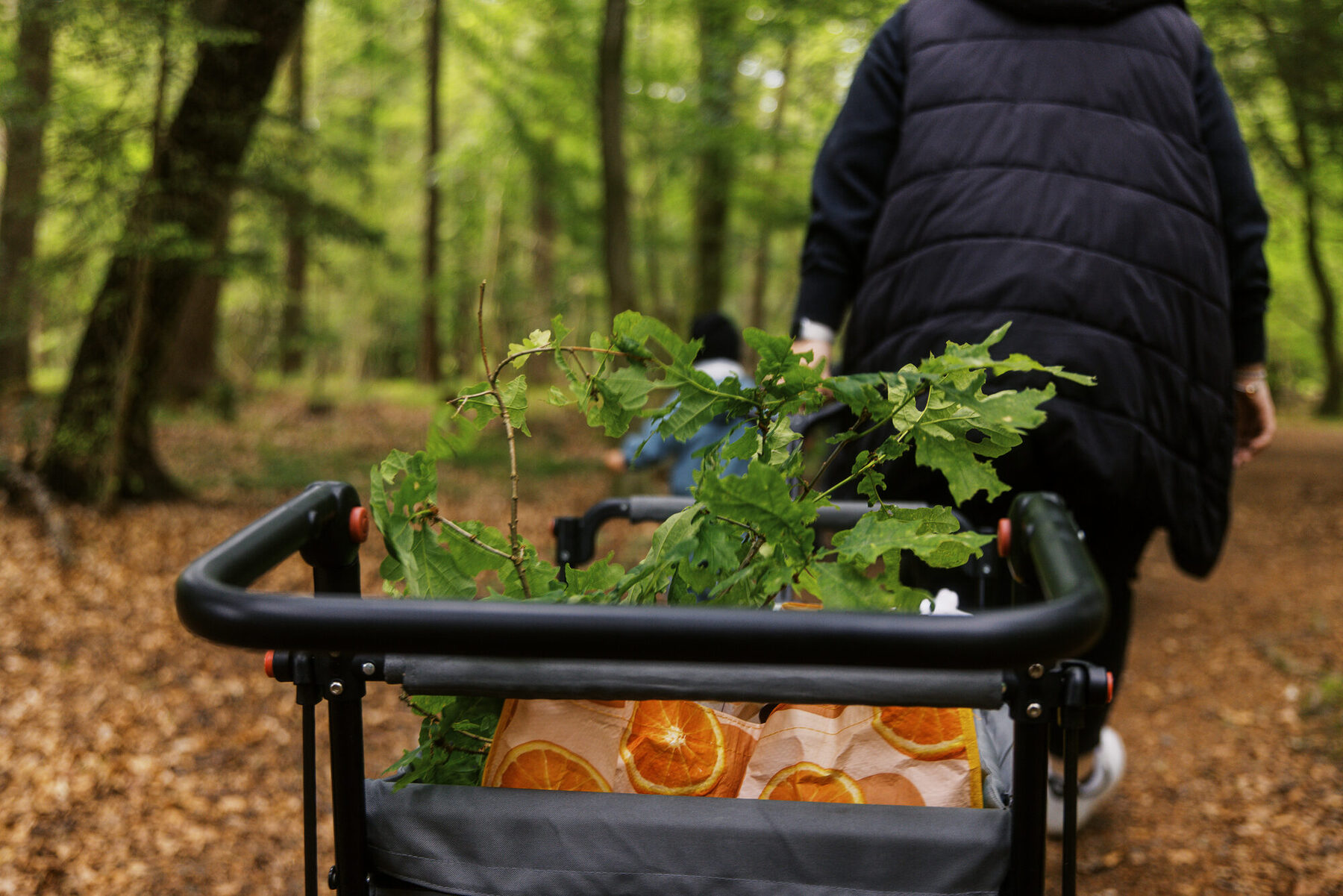 Ein kleiner Wagen mit gesammelten Blättern und Stöcken im Wald
